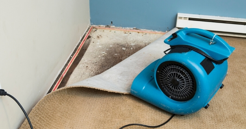 Carpet Water Removal